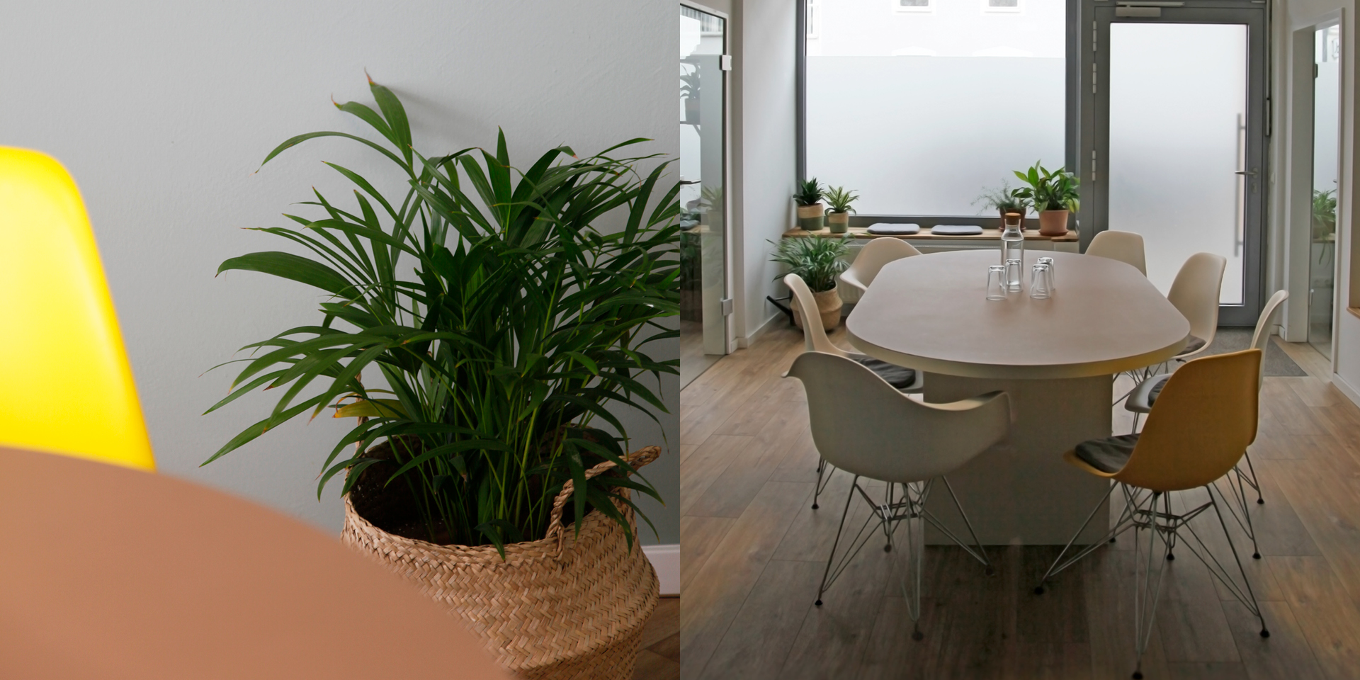 eco_Website_Content22